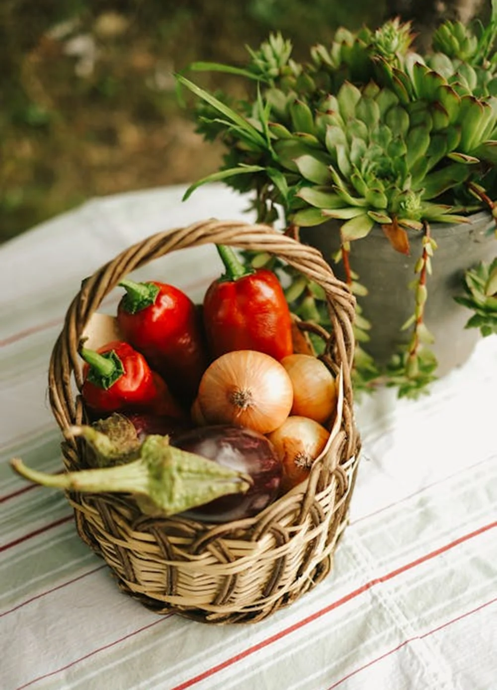 We grow fresh, organic produce using clean methods that protect nature, healthy food.